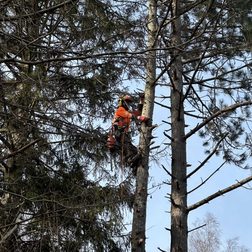 Topkapning i Frederiksberg
