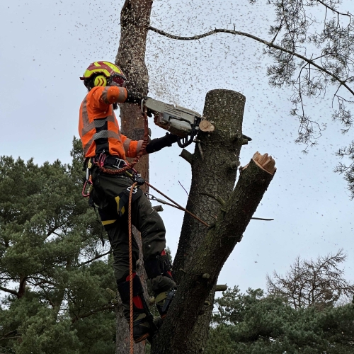 Topkapning i Helsingør