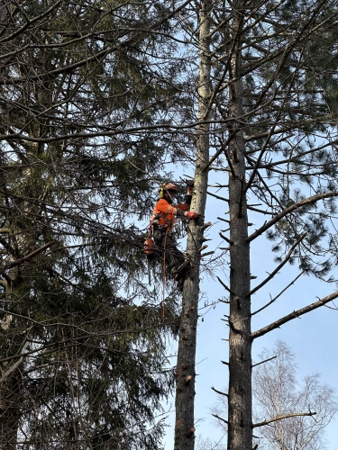 Topkapning i Frederiksberg