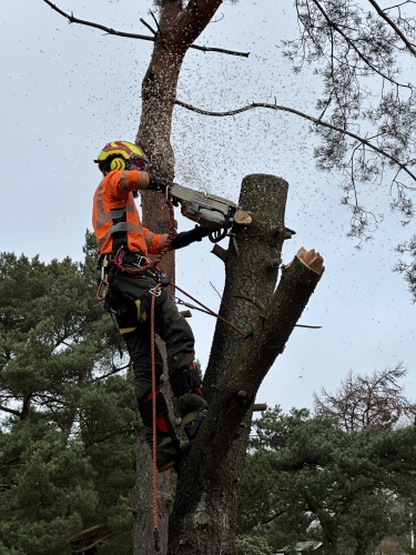 Topkapning i Helsingør
